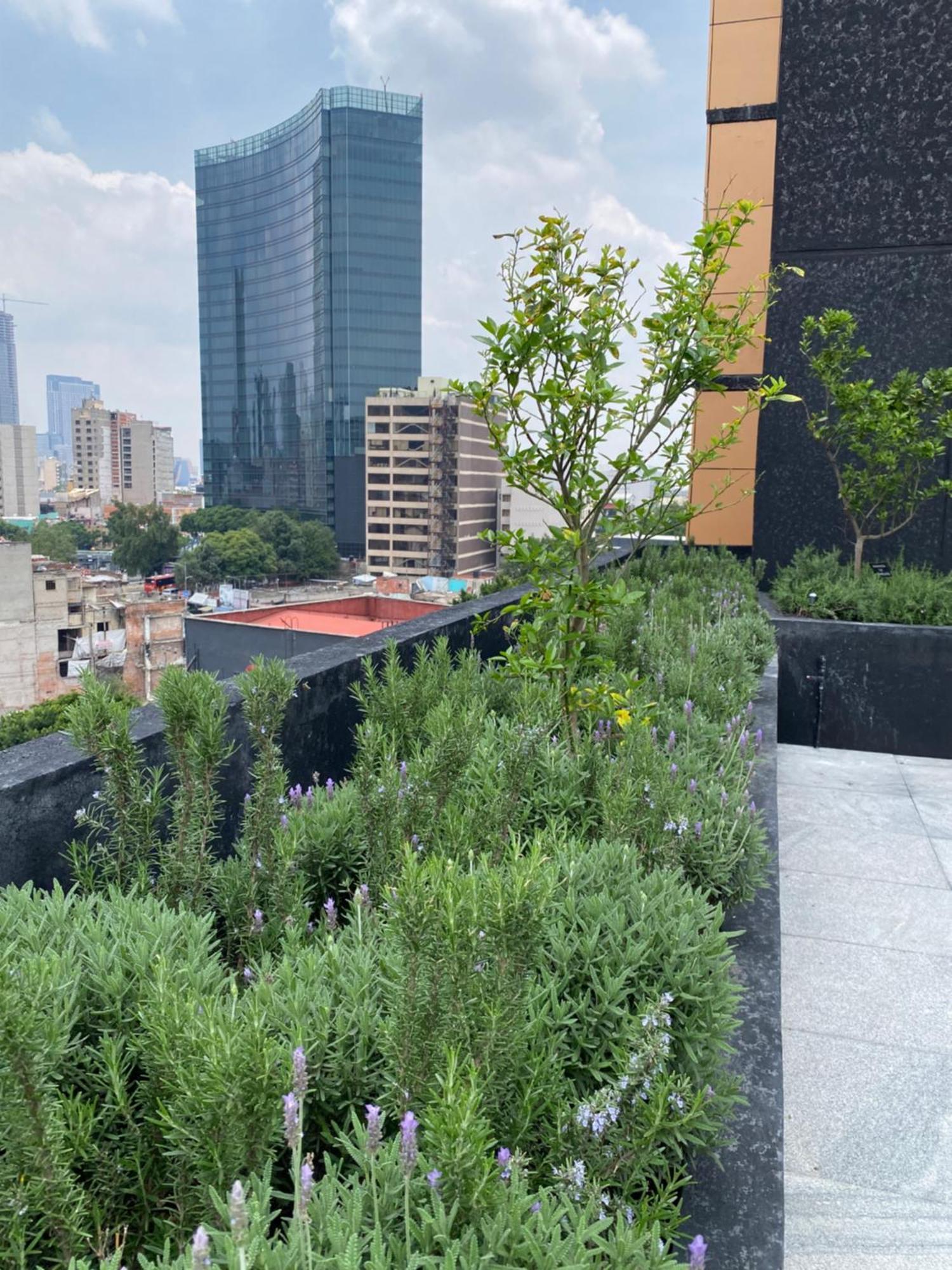 Appartement Loft In The Heart Of Roma Norte Steps Away From Cibeles Mexico-stad